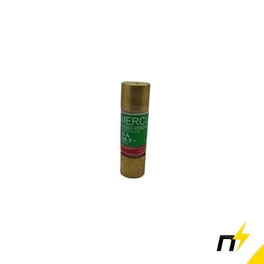 CARTUCHO FUSIBLE 30A NP. 250V CF210NP